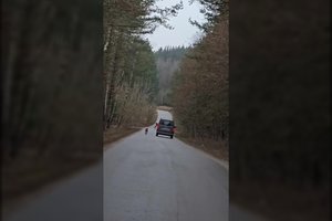 Vilniaus r. „vedžiojo“ šunį, pririštą prie automobilio, ir į aplinkinių pastabas nusispjovė: prašo pagalbos