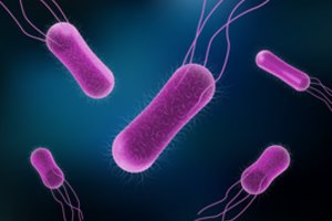 ECDC ataskaita: žmones puola antibotikams atsparios bakterijos