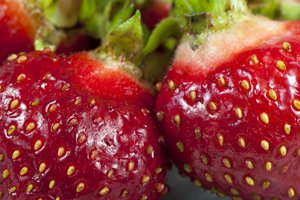 Pasiruoškite šias trąšas: braškės užaugs obuolio dydžio