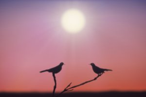 Naujos užsienio autorių parodos Šiuolaikinio meno centre: tarp griūties ir vilties