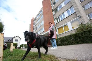 Aiškėja, kokį suplanavo NT mokestį: svarsto apmokestinti būstą nuo 20 tūkst. eurų