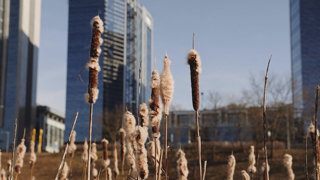 Saulės spinduliai kvies mėgautis pavasariu: šils iki 17 laipsnių