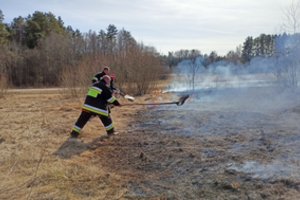 Kėdainių rajone, Nevėžio upės krantinėje, išdegė 5 hektarai žolės