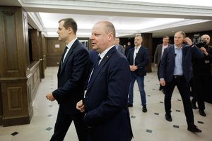 S. Skvernelis perrinktas Demokratų sąjungos „Vardan Lietuvos“ pirmininku