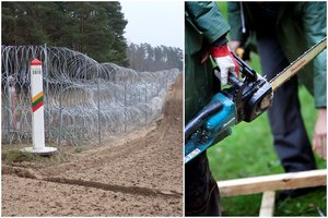 Teismas paskelbė, koks krūmapjove kolegą pražudžiusio ugniagesio likimas
