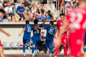 „Hegelmann“ namuose palaužė „Panevėžį“