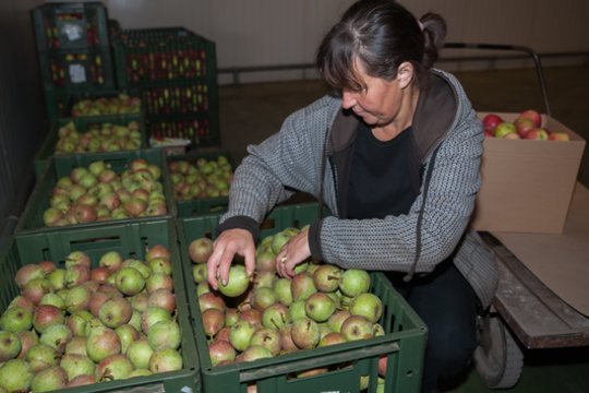 Užimtumo tarnyba: nedarbo lygis Lietuvoje viršija 9 proc.