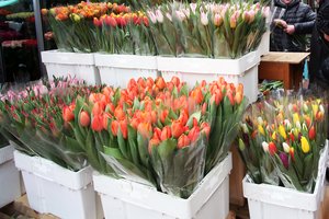 Augalų tranzito blokadą kursto skundai iš Rusijos ir NVS