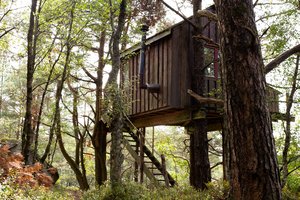 Dabar miške galima susiręsti visokių kupolų, palapinių, namelių medžiuose: siūlo griežtinti šias statybas 