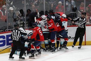 Po muštynių NHL mače – 42 baudos minutės ir 10 išvarytų žaidėjų