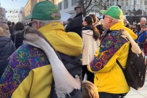 Internautai šokiruoti: Kaziuko mugėje lankęsis vyras kuprinėje nešėsi gyvą žąsį