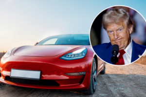 Kad paremtų E. Muską, D. Tumpas įsigys naujutėlaitį „Tesla“ automobilį