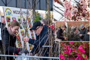 Didžioji sodinukų mugė šiemet bus kitokia: skirstosi į tris miestus 