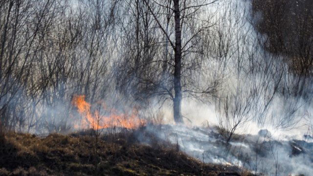 PAGD skelbia, kad kasmet Lietuvoje išdega tūkstančiai hektarų pievų: primena svarbias taisykles