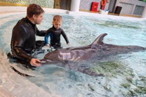 Delfinų terapija keičia šeimų gyvenimus: pagaliau gali susikalbėti su sūnumi