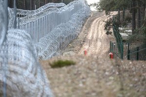 VSAT: pastarąją parą pasieniečiai apgręžė 7 neteisėtai Lietuvos-Baltarusijos sieną bandžiusius kirsti migrantus