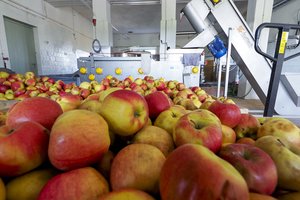 Pardavėjams tenka atsimušinėti nuo pirkėjų priekaištų: skundžiasi, kad obuoliai brango daugiau nei mėsa