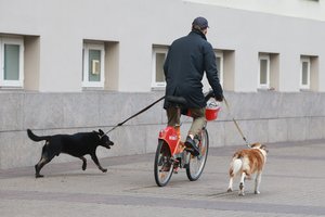 Apklausa: beveik pusė Lietuvos gyventojų yra fiziškai aktyvūs