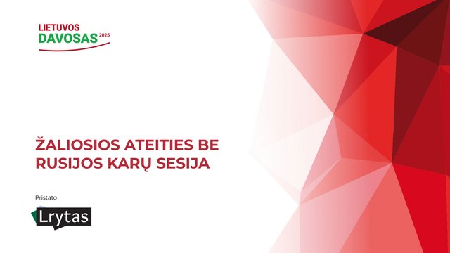 Pabrėžė, kas turėtų būti pagrindinė Lietuvos siekiamybė: iš politikų čia trūksta supratimo