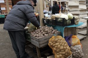 Į rinką plūstantys suklastotos kilmės agurkai – tik ledkalnio viršūnė: papasakojo apie prekeivių naudojamą schemą