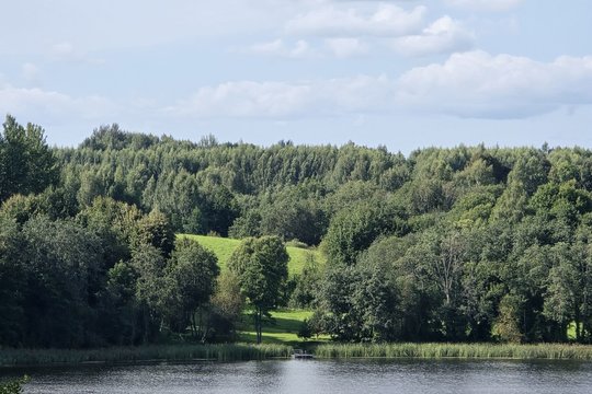  Miškai – viena svarbiausių gamtos ekosistemų, kuri nuolat keičiasi, tačiau tuos pokyčius dažnai pastebime pavėluotai.