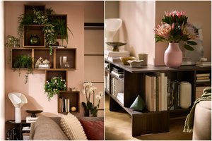 Tvarkingų namų gidas: pasitikite pavasarį lengvai