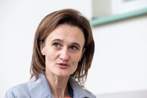 V. Čmilytė-Nielsen: ankstesnėje Seimo kadencijoje penktosios kolonos nebuvo