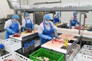 Iš kitų šalių perdirbimo įmonės priverstos atsigabenti 75 tūkst. tonų kiaulienos – jei ne užsienis, nežinia kuo viskas baigtųsi