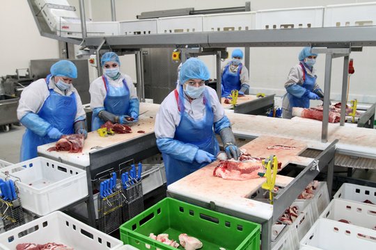 Iš kitų šalių perdirbimo įmonės priverstos atsigabenti 75 tūkst. tonų kiaulienos – jei ne užsienis, nežinia kuo viskas baigtųsi