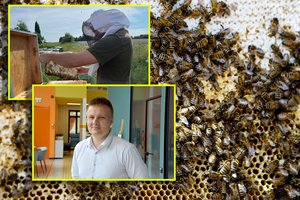 Vaikystės svajonę išpildęs biržietis verslą įkūrė buvusiame pašto pastate: „Vis sakydavau, kad važiuoju į paštą pas bites“