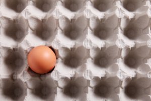 Neišmeskite popierinių kiaušinių dėklų: sodininkai pasidalijo, kur juos sėkmingai panaudoja