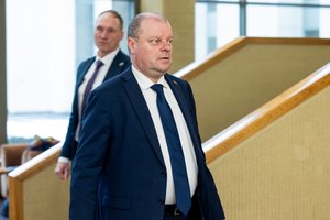 Po S. Skvernelio raginimų liko tik 5 parlamentarai, nepateikę prašymų dėl darbo su slapta informacija