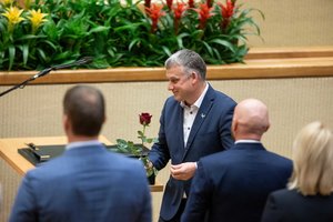 Iš savų – bizūnas, svetimų – vilionės: kur nuves V. Ąžuolo flirtas su „aušriečiais“?