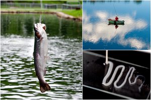 Lietuvos žuvyse knibždėte knibžda parazitai: atsakė, kurie kelia pavojų ir kaip to išvengti