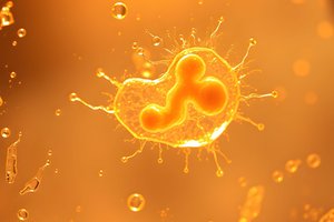 Visa gyvybė Žemėje kilo iš vieno protėvio – ir jis daug senesnis, nei manėme