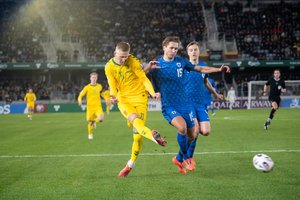 Bravo E. Jankausko rinktinei: į du suomių dūrius Lietuvos futbolininkai atsakė įspūdingais įvarčiais
