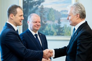 G. Nausėda: matau galimybes puikiausiai dirbti su šia valdančiąja koalicija