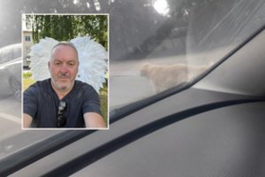 Prie automobilio pririštą savo šunį tempusiam darželio direktoriui – negailestingas teisėsaugos kirtis
