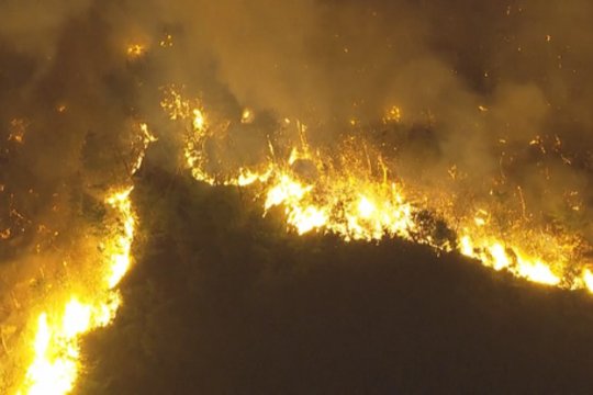 Japonijoje siaučia miškų gaisrai: liepsnos niokoja pastatus, gyventojams liepta evakuotis
