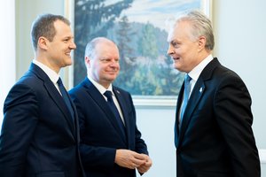 G. Paluckas nesistebi pasikeitusia G. Nausėdos nuomone dėl „Nemuno aušros“: padeda kava, arbata, bandelės ir pokalbiai