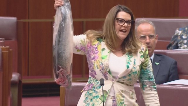 Australijos politikės protestas prieš taršą: į Senatą atsinešė negyvą lašišą