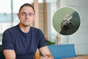 Panevėžietis nufotografavo visoje Europoje itin retą vorą: Lietuvai ši rūšis – visai nauja