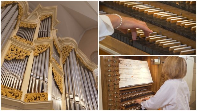 „Muzikos enciklopedija trumpai“ – apie vargonininkų apavą ir grojimo subtilybes