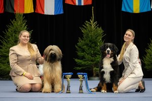 Poros iš Kauno gyvenimą pakeitė Čekijoje sutikti Berno zenenhundai: „virusas“ persidavė ir dukroms