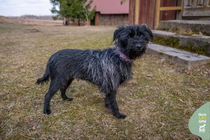 Nuostabioji ir linksmoji Dona trokšta šeimos: įspėja – dar jauna, tad gerų manierų trūksta