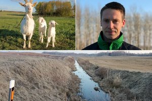 Ūkininkai lengviau atsikvėpė – šiųmetis žemės ūkio naudmenų ir pasėlių deklaravimas pagaliau bus kitoks