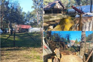 Kuršių nerijos nacionalinio parko direktorės šeima kurorte šeimininkauja kaip savo kieme 