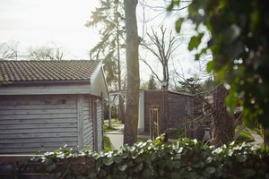 Tylus pavojus jūsų kieme: šie ženklai skelbia, kad pats laikas imtis veiksmų