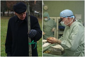 Chirurgas V. Sirvydis praskleidė istorinės operacijos užkulisius: eksperimentai mėsos kombinate ir medicinai nusipelnęs šunų būrys