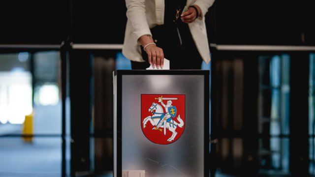 Panevėžyje ir Joniškio r. baigėsi antrasis merų rinkimų turas: sulaukta pranešimų apie galimą politinę reklamą